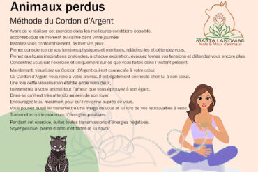 Animaux perdus en communication animale (CA)