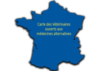 Vermifuger naturellement et efficacement vos animaux